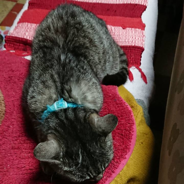 836d6b49 7a50 42ee 9eb5 1a5851c51f86 1551086211707