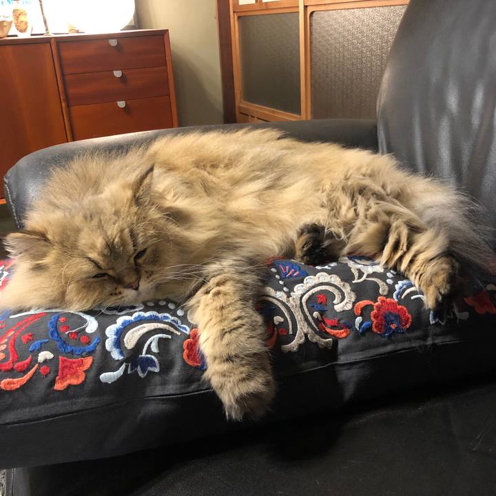 836d6d2f adc9 4be8 88b7 40c85f5070f5 1606826931454