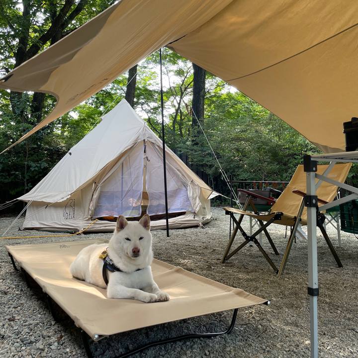 836d87d9 76bb 43c1 8a07 4bd0068a2931 1692342737313