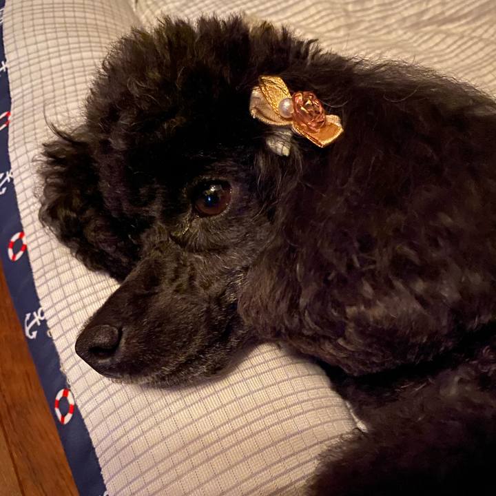 836db358 8c71 43c0 bfa6 69756f2da003 1596802135213