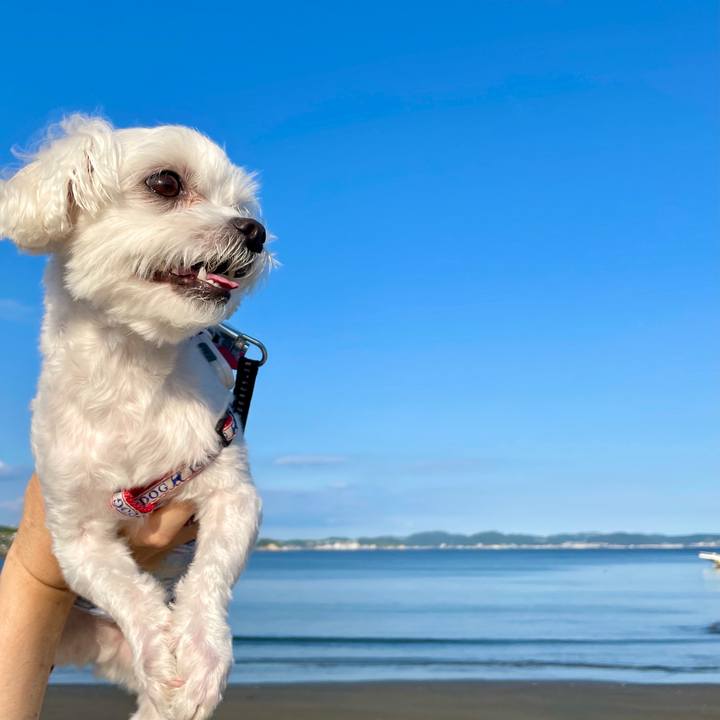 836dbaa8 d6c2 497b b1db be2806b78b69 1622601360693