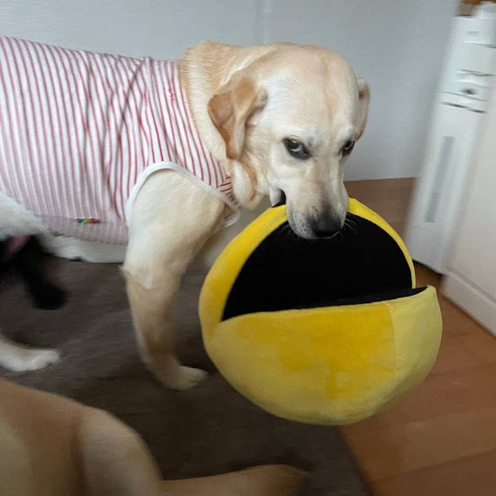 836dbcaf 668e 471c b3ca b39af4047366 1623361621587