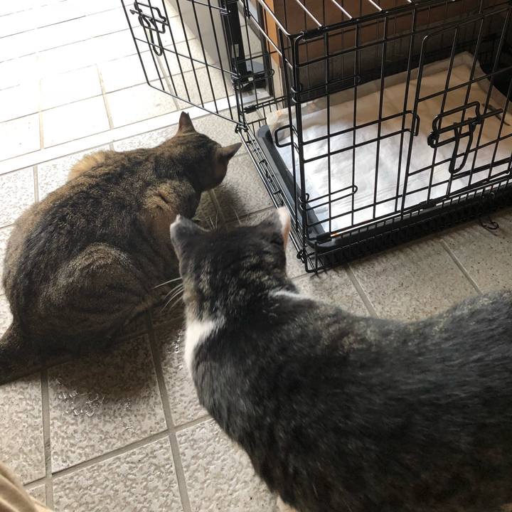 836dbd15 6b80 4dfb 8660 6c20383f006d 1537238209927