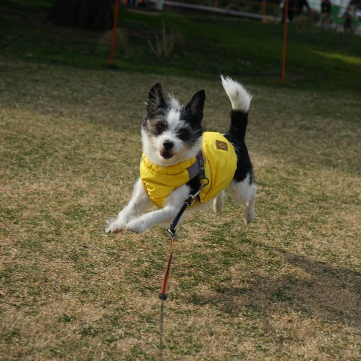 836e023a 9e58 4003 a129 90b7be43d04f 1675859341853