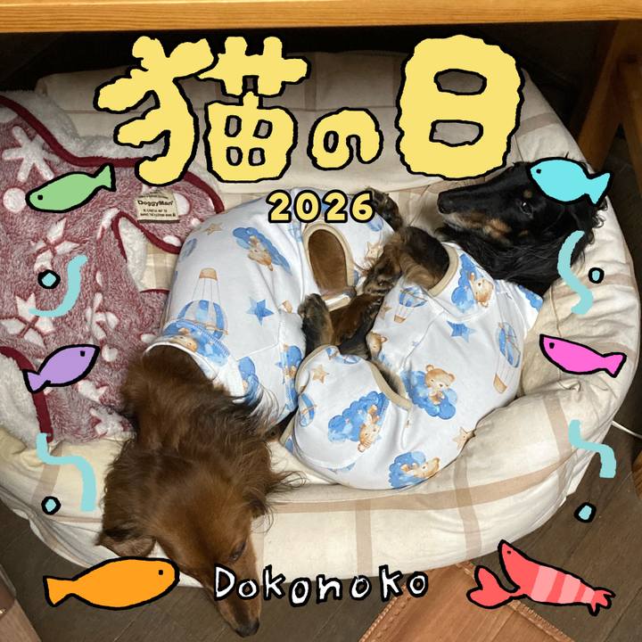 836e1503 80e5 47a7 bf41 a26f3872e10e 1771746881242