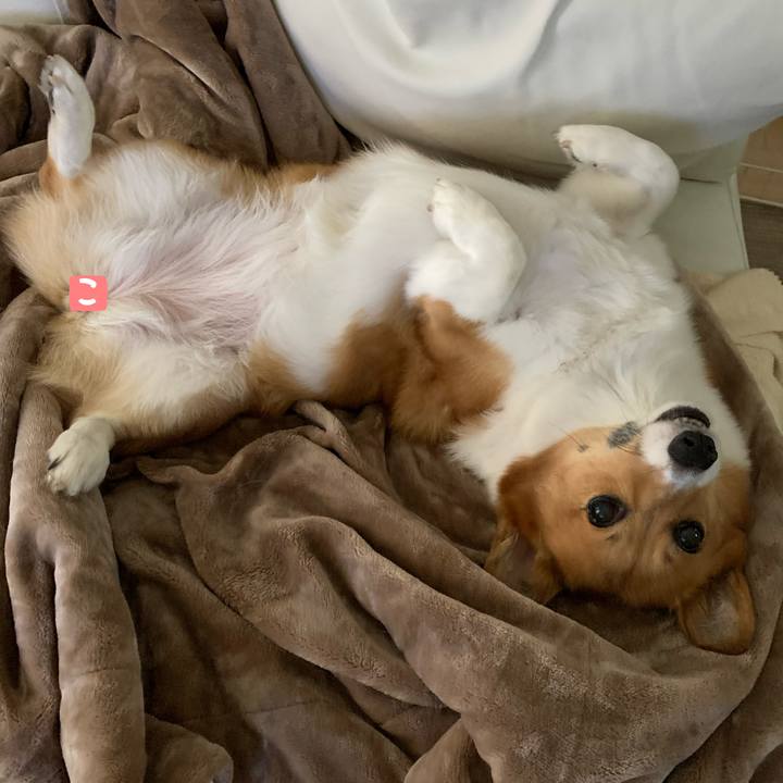 836e1549 e3f0 4de3 acd1 e73299093776 1572390868817