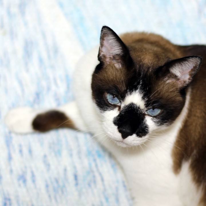 836e1770 e35b 4d91 b358 74cbb2e469ab 1543189336642