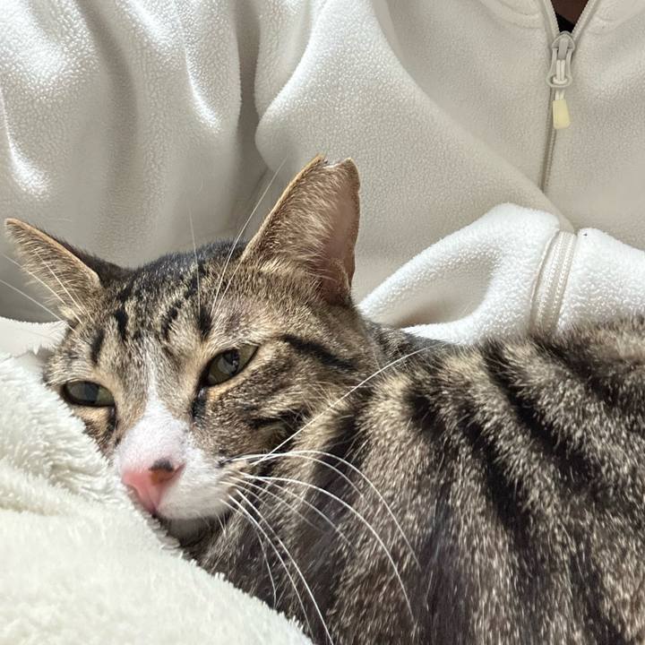 836e413f 3501 4471 9053 7e2d6778a9e7 1764078173972