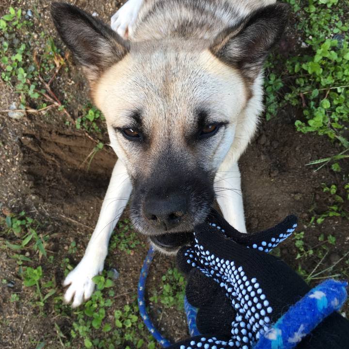 836e5d7c 77d0 466c 8738 24479e1af832 1508933883338