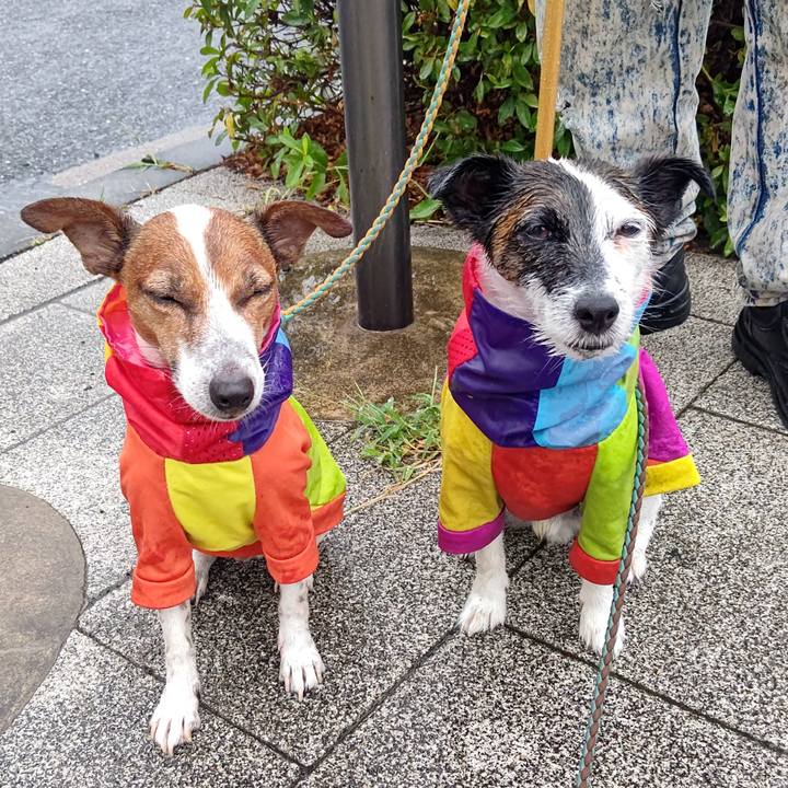 836e7c1d e8a8 4109 aaad 1723b93f1c98 1720909468603