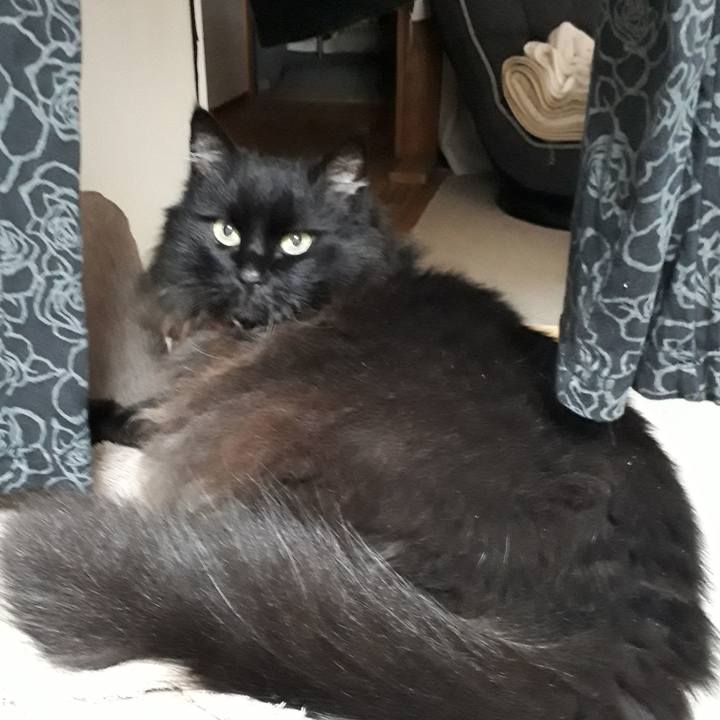 836e89b5 95f7 4980 92c0 d8a7233f1918 1527336621549