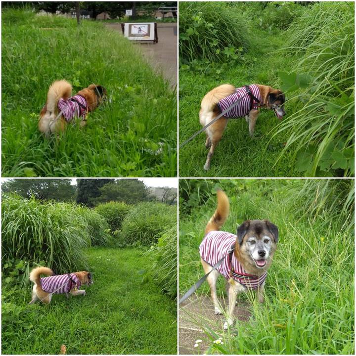 836eb0bb 85e1 49a3 a02b 8949bfb569b0 1566171420870