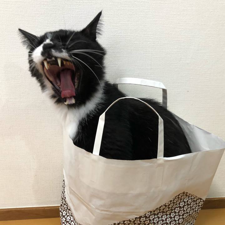 836ee164 f1bb 4600 aa38 26a1c4d48aaa 1625714866386