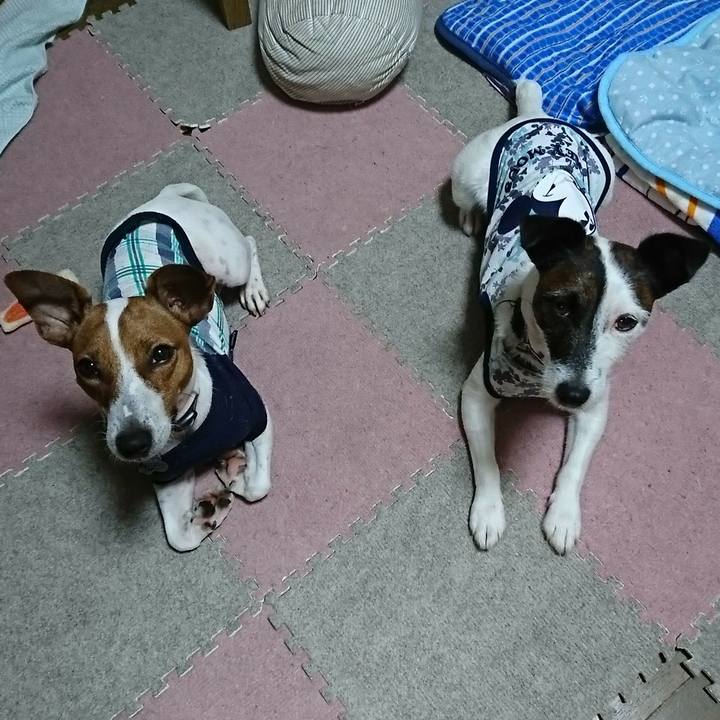 836ef0b7 500b 45b8 8440 de28fe4478de 1537270843954