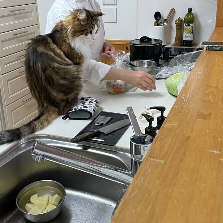 836f0ec8 df98 4743 a593 cf479b516a6e 1666089748180