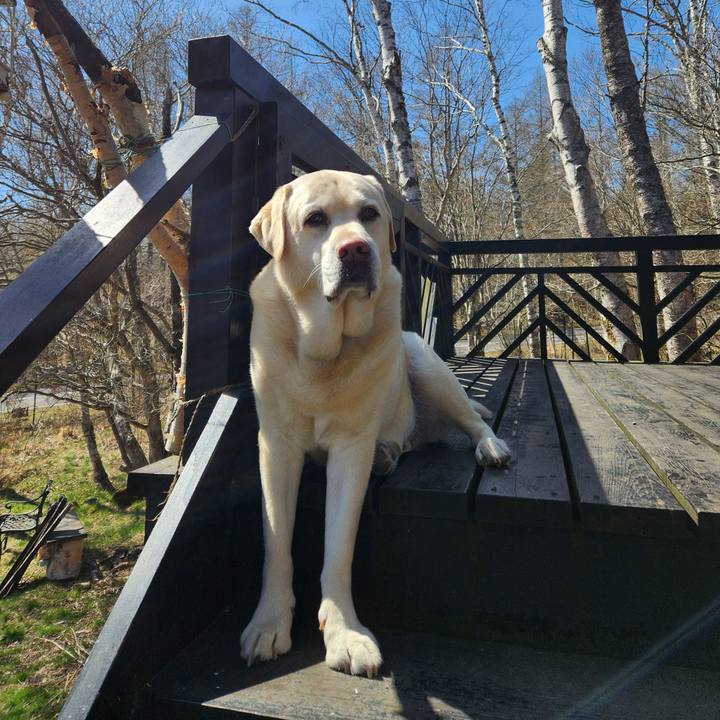 836f10ef cc78 4b6a 9551 3e170b5bb119 1746102127588