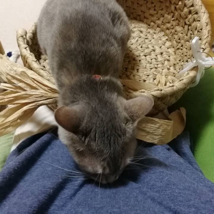 836f7771 4066 4e4e abb0 9336d8c0cc13 1529410427626