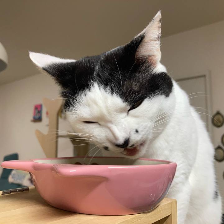 836f90c4 f86f 41bc b4a9 5e20d32dbf21 1762891397084