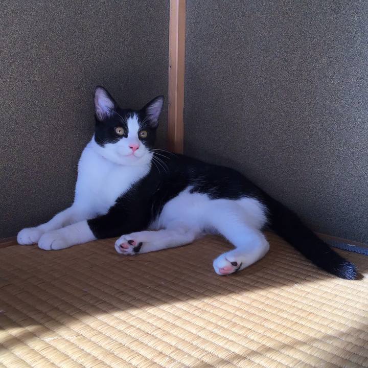 836f9378 c2d3 4d66 a26c ae0c461ca990 1630114901729