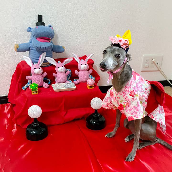 836fbd04 5fad 4ce3 9a57 7231c91e4284 1772527581956