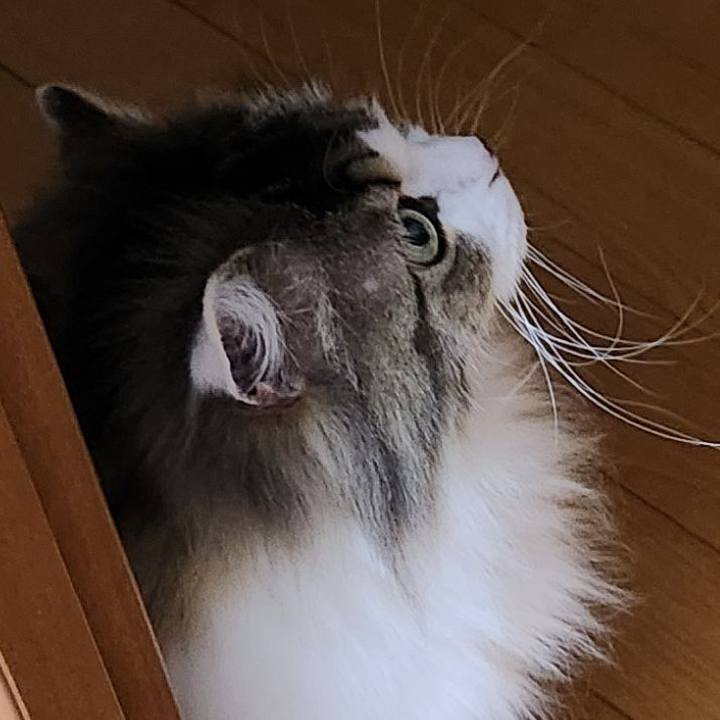 836fd471 b275 4c01 a7b5 950a85319165 1772289833648