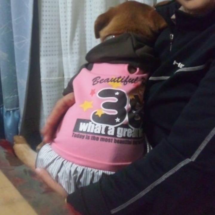 836fdbc2 54fc 4da2 9042 1f3cac28e070 1519132987913