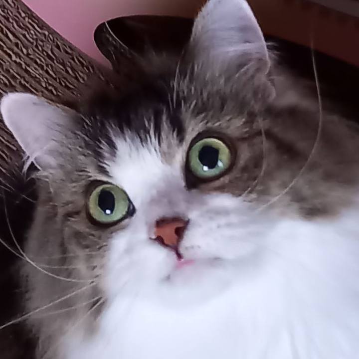 836fe5fe 4d87 4d12 8dac 1790ebefbd82 1628290973424