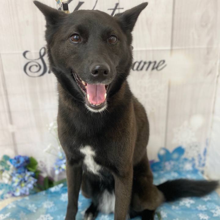 83701628 44f4 484b 99c3 ffa91a41756d 1613007464231