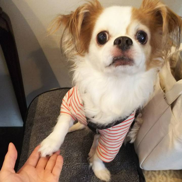 8370549f df7e 4991 a79b 3e873304c0ed 1521864241455