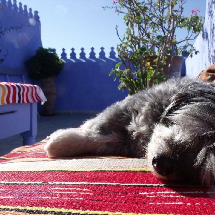 83705740 b144 4c6d 85b6 be94f64f134b 1543136041964