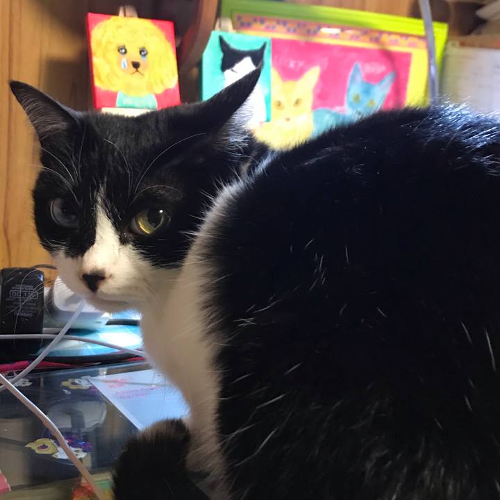 83706ef6 e635 4d8d b603 d7fa0f57fd08 1583154740602