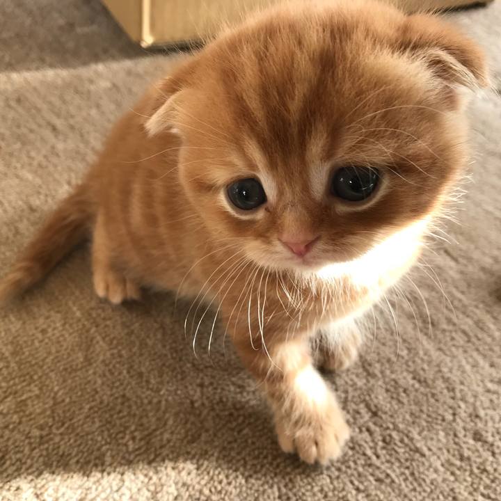 837078ec 6272 410b 82da 4014e3baf2c5 1513597731966