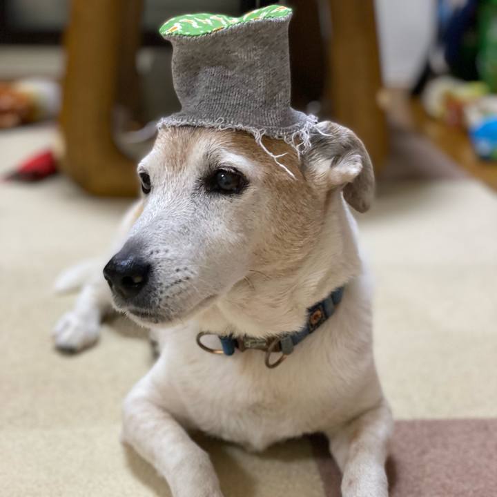 83709718 73a5 476a a0de c43f535098bb 1644746103159