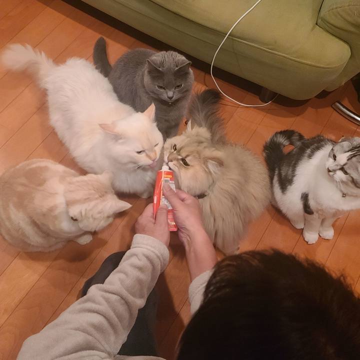 8370a2e2 2ede 4743 bcc3 caf184a6d89e 1681808398324