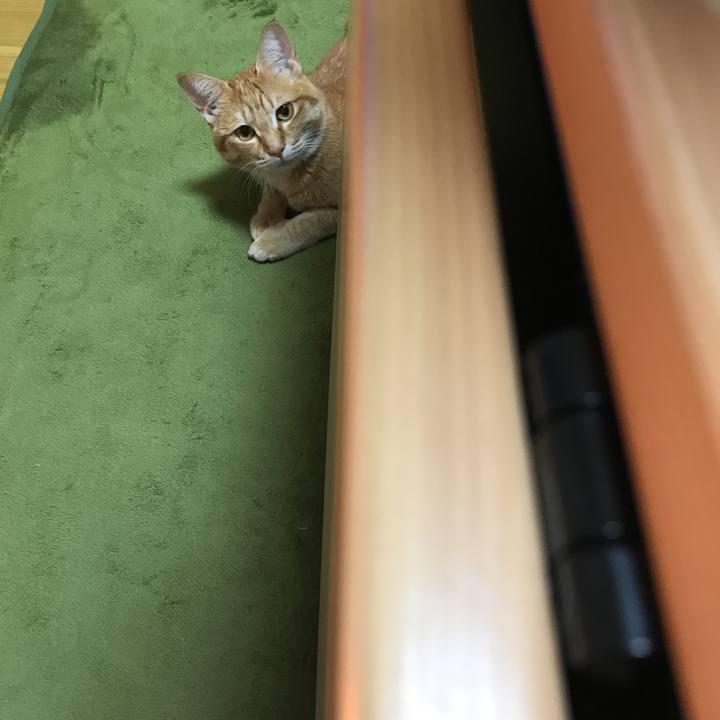 8370e164 dbac 4413 a38a 029cadb35fc0 1519562847830