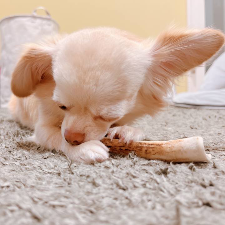 837100dc 9006 42ed 845a 8a35c0692468 1658065666757