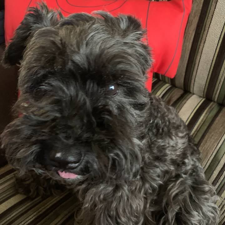 83710789 027a 40d1 9d30 e3c4327dc635 1591657732126