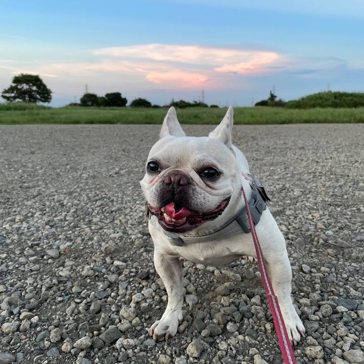 83718d2b fb18 4d5b afce 6415835b3bac 1755730105282