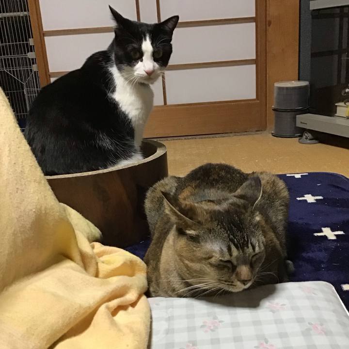 8371a5f5 2777 4bc2 a498 c54889f173fb 1707817043733