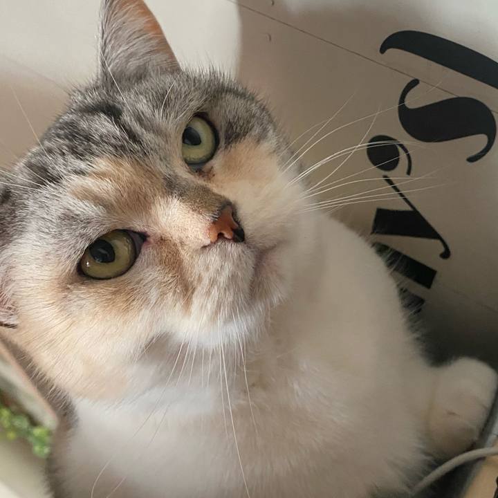 8371d482 26c9 410e 99c0 abe3538f5674 1644903950803