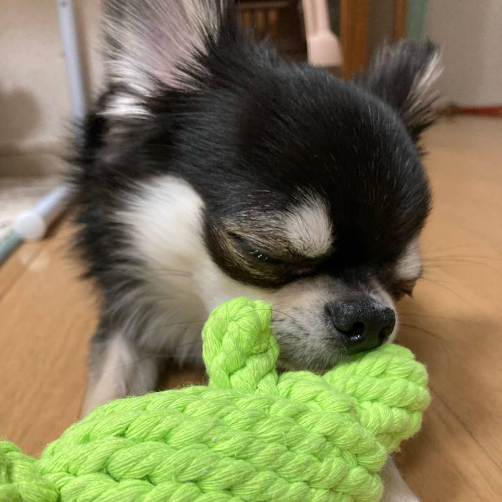 8371e165 e014 460d 9e8b a5e9afa3f668 1620221927987