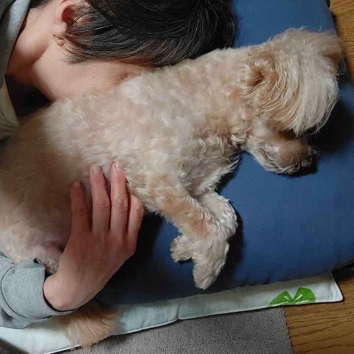 8371ecdd c164 46ed 9ea6 ec38d0bc49c8 1732619584081