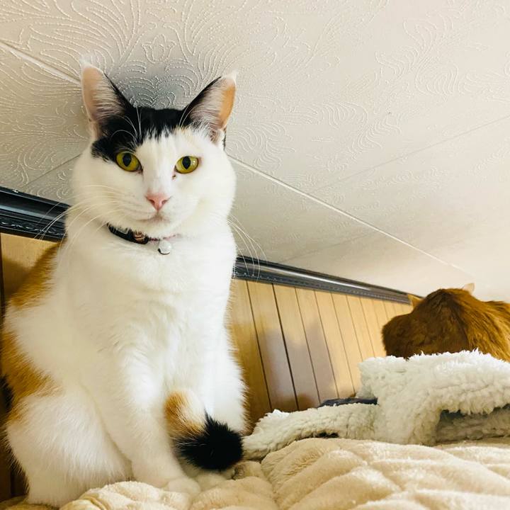 83721729 30f8 4fdf 95ee 9ec22fbdc7d8 1670454697963