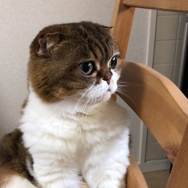 83722a9c cecf 429b 8584 cb650c6f58f7 1537416140557