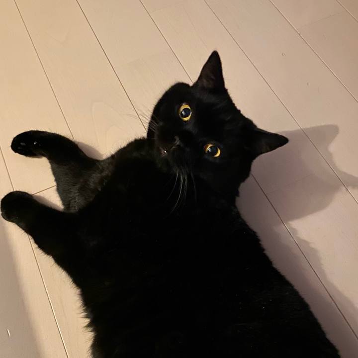 83722b88 a6c7 4366 98e3 dc58fba1e5dc 1726487494700