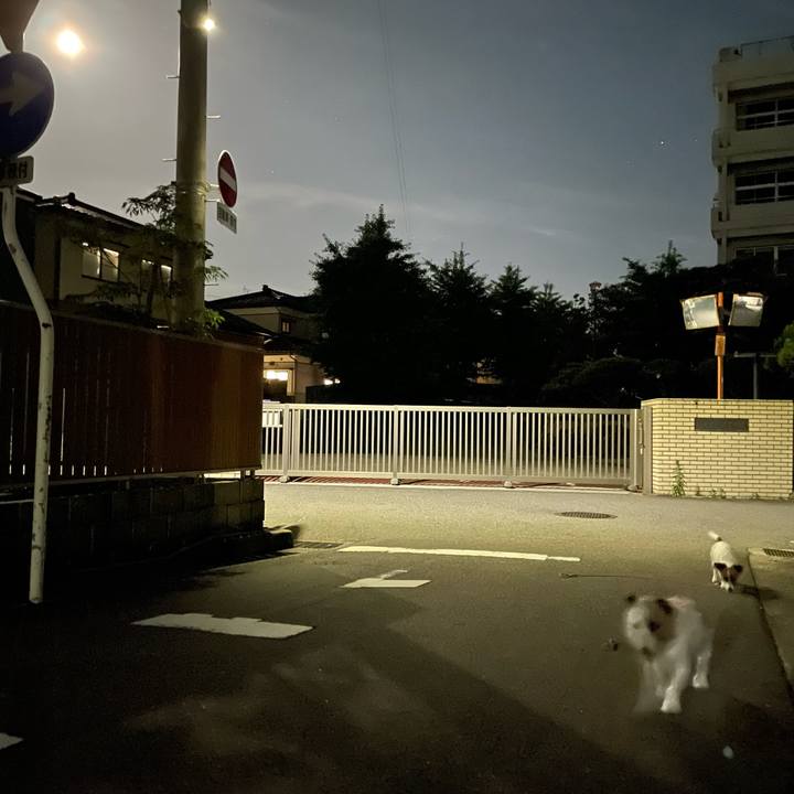 83726c63 7ac2 431d bd3e 5a20764bedf5 1657721282619