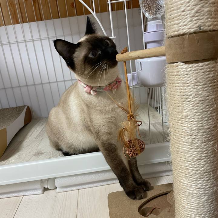 83726e03 a239 4df9 bee7 c9e81d38b6a6 1716493826021