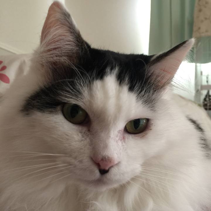 83727c56 06ed 4b89 9d88 4772e988345b 1515763555145