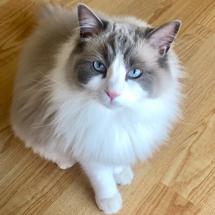 837296cc 7752 430f a8be 0c1f53a1fcc9 1582850976830