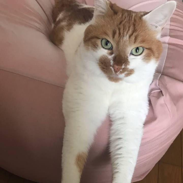 8372a71f df84 4009 bbe5 f3cda0fcf3fa 1555024707499